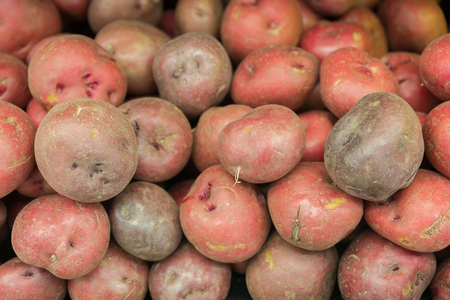 Raw red potatoes for foodの写真素材