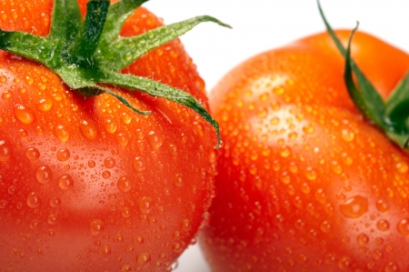 Close-up photo of two tomatoes with water drops の写真素材