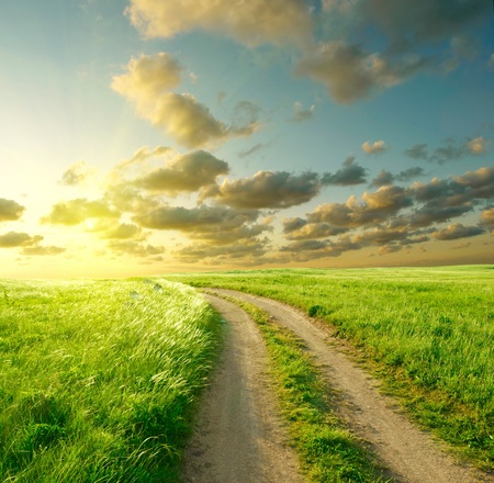 Summer landscape with green grass, road and cloudsの写真素材