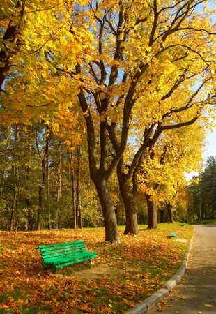 Autumn in the park の写真素材