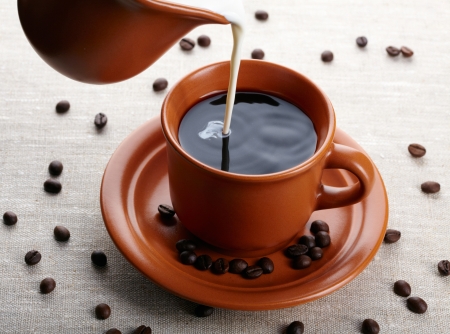Cup of coffee and creamの写真素材