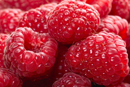 Raspberry fruit background