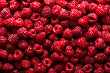 Raspberry fruit backgroundの写真素材