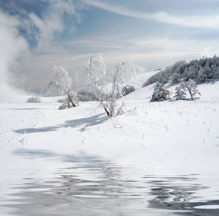 Winter treesの写真素材