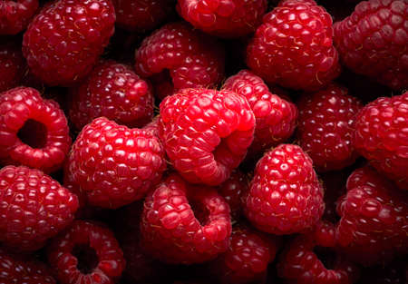 Raspberry fruit backgroundの写真素材
