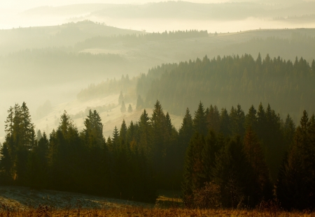 Beautiful sunrise in the mountainsの写真素材
