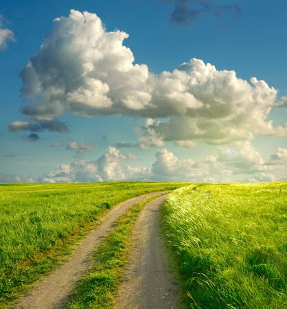 Summer landscape with green grass, road and clouds の写真素材