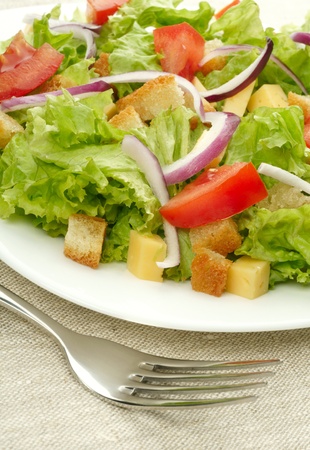 Salad on white plateの写真素材