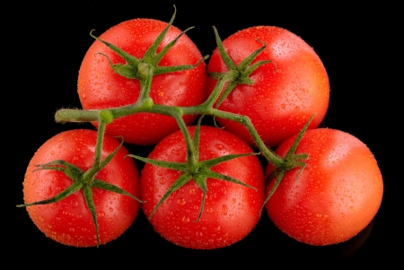Red tomatoes on a black background with water dropsの写真素材