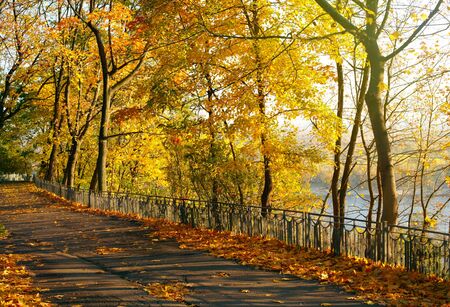 Autumn parkの写真素材