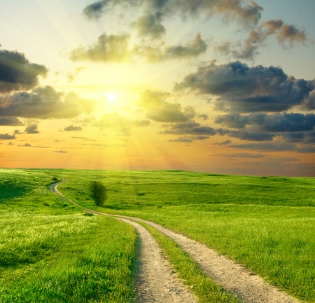 Summer landscape with green grass, road and clouds の写真素材