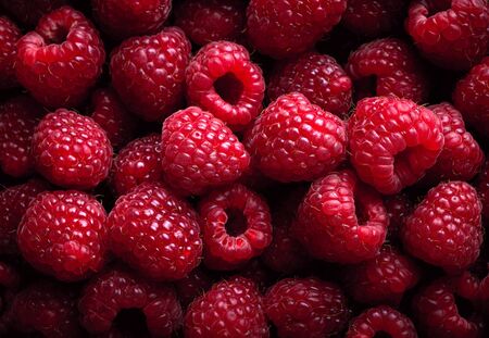 Raspberry fruit backgroundの写真素材