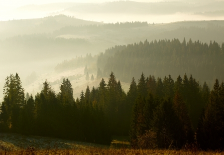 Beautiful foggy sunrise in the mountainsの写真素材