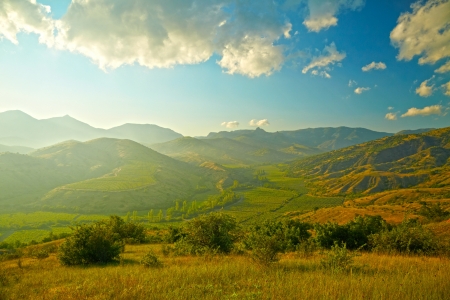 Summer landscape with vineyard, mountains and skyの写真素材
