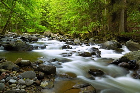 Mountain River in the woodの写真素材