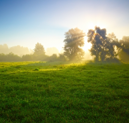 Foggy medow at susriseの写真素材