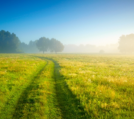 Foggy medow at susriseの写真素材