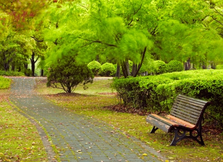 Green city park. Shanghai, Chinaの写真素材