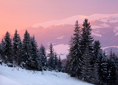 Beautiful sunrise in the winter mountainsの写真素材