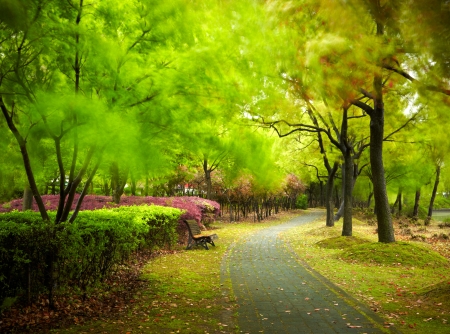 Green city park. Shanghai, chinaの写真素材