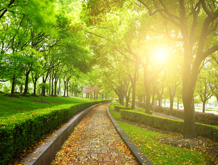 Green city parkの写真素材