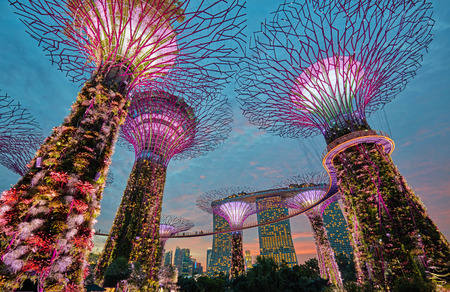 Supertrees at Gardens by the Bay. Singaporeのeditorial素材