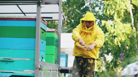 Young beekeeper man clean wooden honey frame working in the apiary on summer day