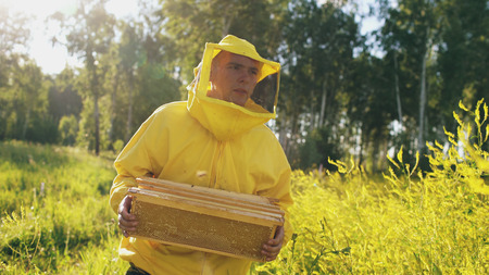 beekeeper man with wooden frame walking in blossom field while working in apiaryの写真素材