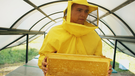 beekeeper man walking with wooden frames working in apiaryの写真素材