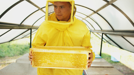 beekeeper with wodden frames walking and inspecting beehives in apiaryの写真素材