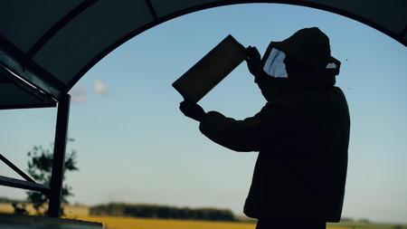Silhouette of Beekeeper man checking wooden frame before harvesting honey in apiaryの写真素材