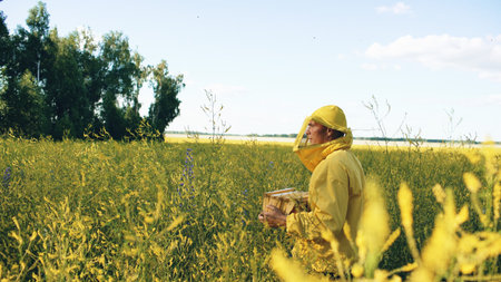 beekeeper man with wooden frame walking in blossom field while working in apiary