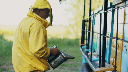 Young beekeeper man smoking bees away from beehive in apiaryの写真素材