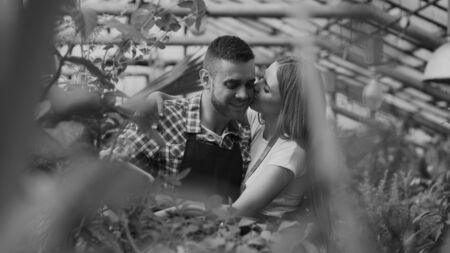Cheerful woman embrace and kiss husband watering flowers with garden pot. Happy young florist couple in apron working in greenhouseの写真素材