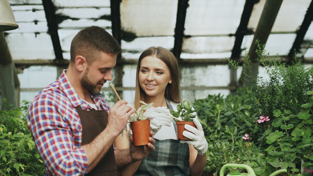 Young cheerful woman in apron and gloves loosen ground in flower and chatting his boyfriend in greenhouseの写真素材