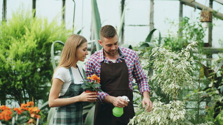 Attractive couple work in greenhouse. Man gardener in apron watering plants and flowers with garden sprayer while his girlfriend talking to himの写真素材