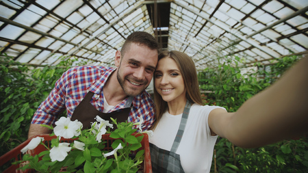 Cheerful loving couple gardeners taking selfie picture on smartphone camera while working in greenhouseの写真素材