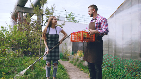 Attractive couple work near greenhouse. Man gardener in apron collect garbage in garden while his wife talking him holding box with flowersの写真素材