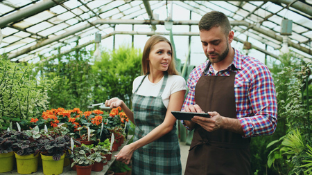 Young couple work in garden center. Attractive man cheking flowers and woman using tablet computer during working in greenhouseの写真素材