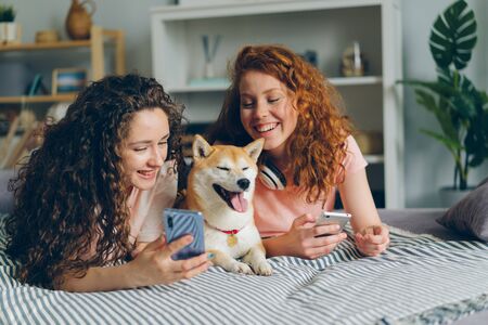 Beautiful curly-haired young women sisters talking using smartphones and caressing pedigree dog lying on bed in apartment. People and gadgets concept.の写真素材