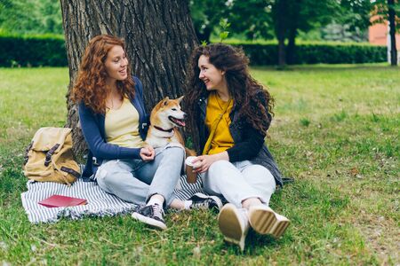 Beautiful young sisters talking and stroking dog sitting on lawn in park enjoying summer and friendship. Young woman holding carton glass of to go coffee.の写真素材