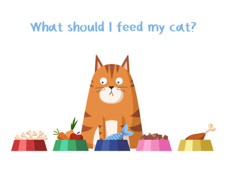 Cat food. Choosing the right diet for your cat. Pet care. Allowed and prohibited foods for a catのイラスト素材