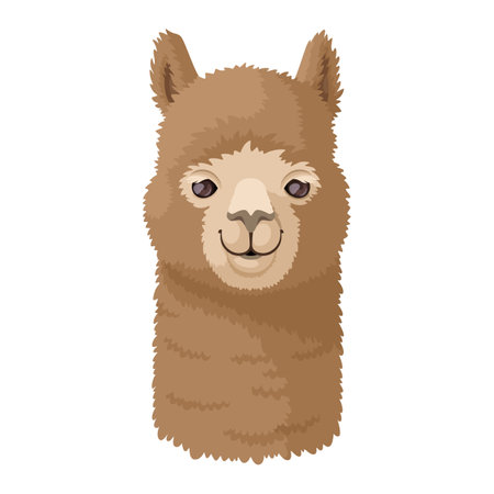 Alpaca head front view vector illustration. Cute alpaca looks at the camera and smiles.のイラスト素材