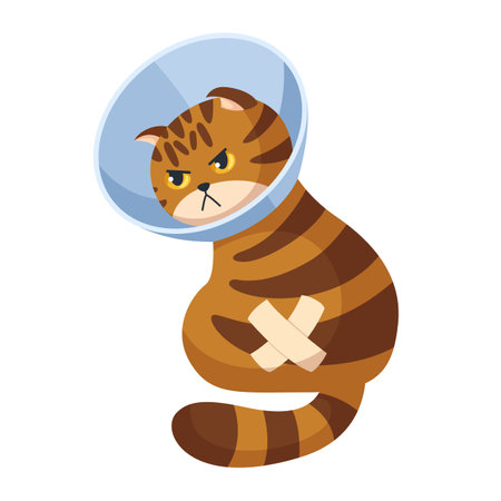 Angry red tabby cat with a band-aid in a veterinary cone collar. Concept illustration of providing first aid to pets. Isolated on white background.のイラスト素材