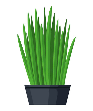 Growing grass in a pot. Plants for interior office or home. Isolated on white background. Stock vectorのイラスト素材