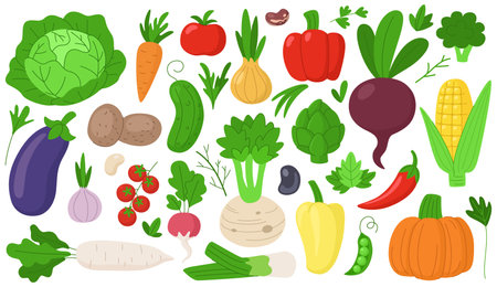 Cartoon vegetables collection. Vegetables and fresh herbs on a white background. Harvest of various vegetables - cabbage, eggplant, cucumber, tomato and others.のイラスト素材