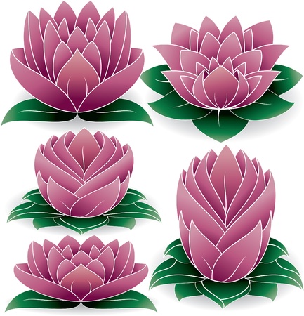 illustration of colored set of lotus のイラスト素材