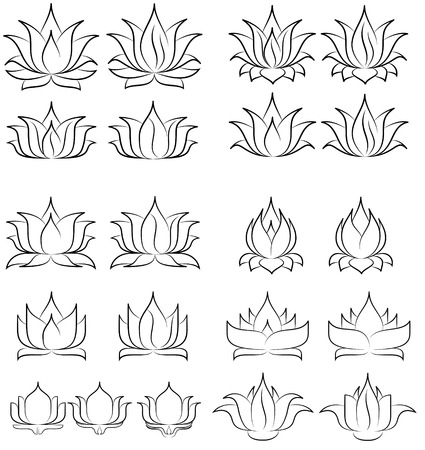 illustration of great lotus のイラスト素材