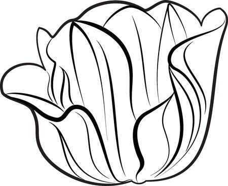 illustration of flowers silhouetteのイラスト素材