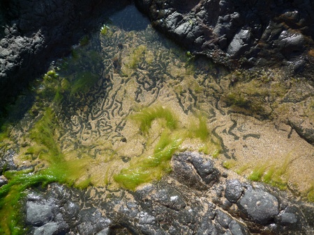 Colourfull rock poolの写真素材